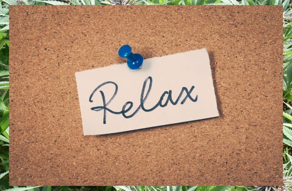 Retro cannabis HR blog cover image with headline “SHRM Is the Reason Nobody Trusts HR” from The Dealer’s Diary by Zen Den, discussing workplace culture, modern HR criticism, and employee trust issues in human resources.