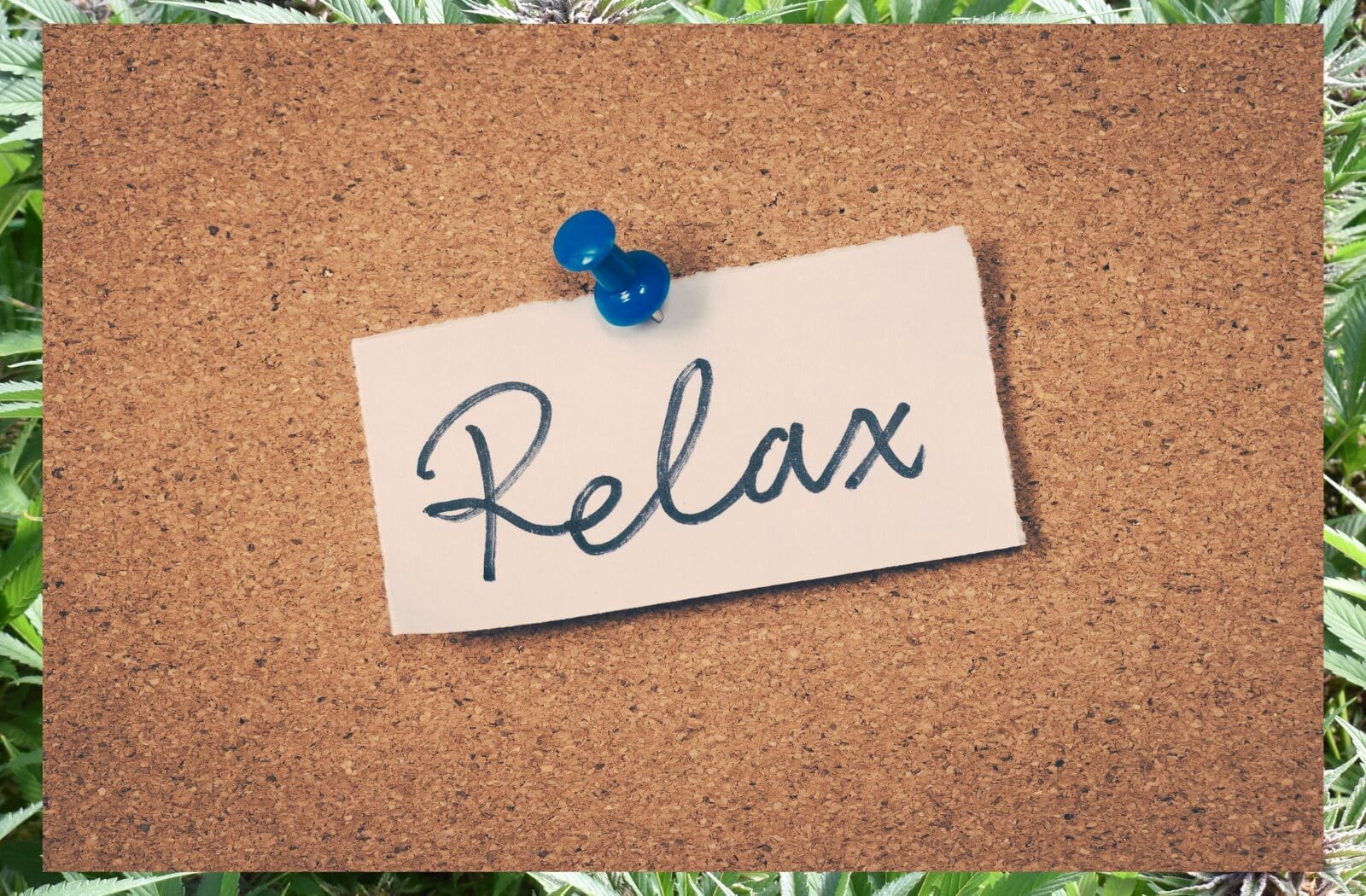 Retro cannabis HR blog cover image with headline “SHRM Is the Reason Nobody Trusts HR” from The Dealer’s Diary by Zen Den, discussing workplace culture, modern HR criticism, and employee trust issues in human resources.