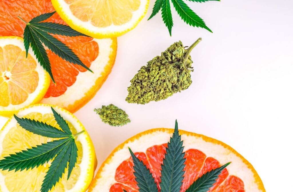 Retro cannabis HR blog cover image from The Dealer’s Diary by Zen Den with the headline “Most Dispensary Employees Quit Within 90 Days,” focused on cannabis employee retention, onboarding challenges, turnover, and dispensary workforce management.