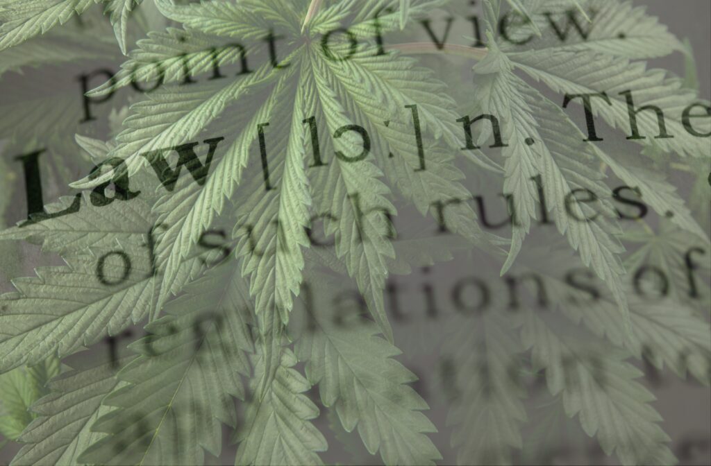 Schedule III cannabis employees: dispensary operator reviewing candidate intake forms for federal contractor and CDL constraints, 2026