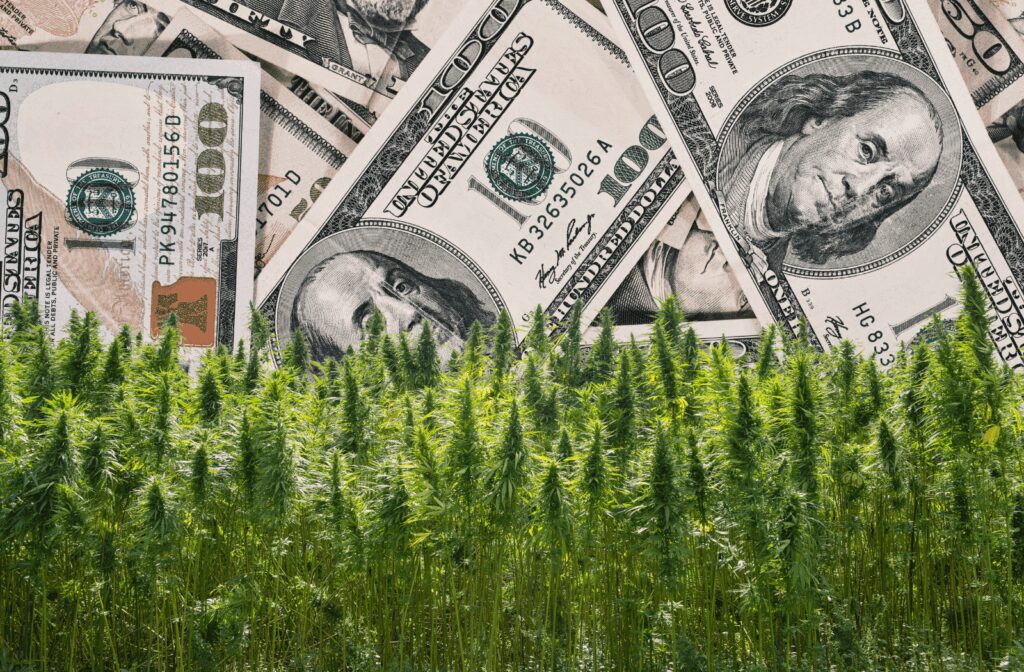 Cannabis wage and hour audit: dispensary operator reviewing overtime, tip pool, and state minimum wage compliance across MA, NY, NJ, CA, CO, IL, and WA, Q3 2026