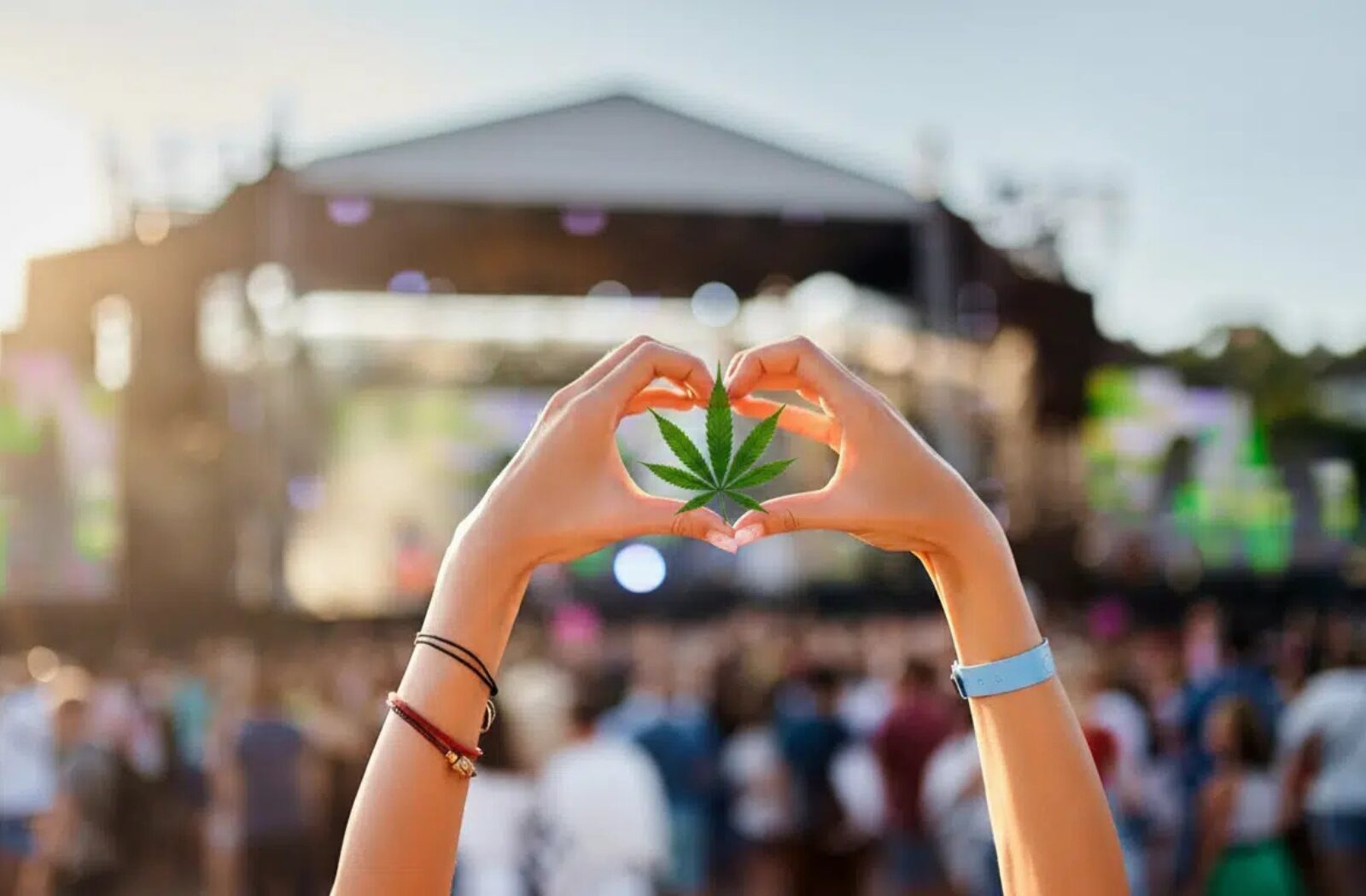 Cannabis events week of July 13 2026: operator networking, licensing workshops, and industry gatherings across Massachusetts, New York, New Jersey, Rhode Island, and Maine