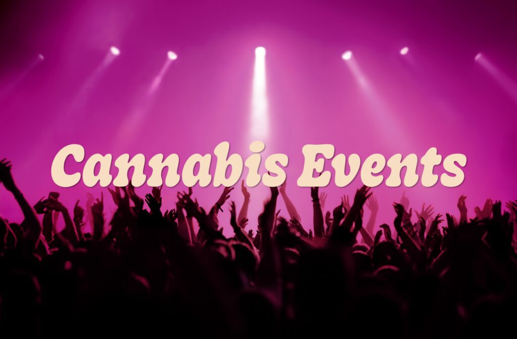 Cannabis events and industry networking events featuring a concert crowd under pink stage lights